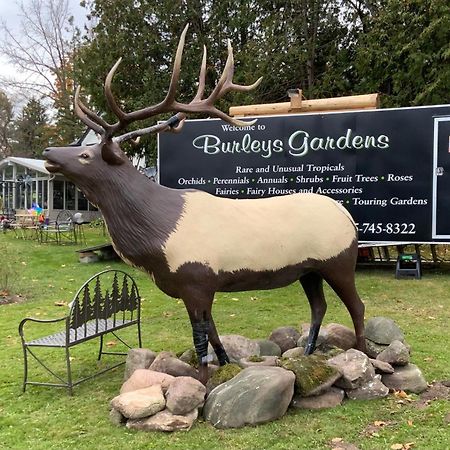 Burley'S Executive Garden Suite ピーターボロ エクステリア 写真